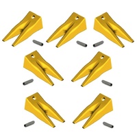 5KC3TT Keech Bucket Tiger Tooth & Pin - 7 Pack image